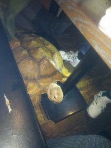 1487565519600643524410