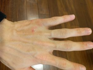 14962983092592066120322