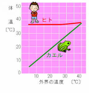 9CF29B16-FB68-4C6E-9465-1D562E81E08B