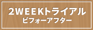 ２WEEKトライアルビフォーアフター