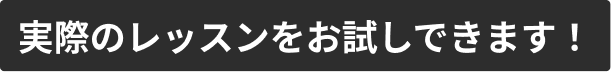 実際のレッスンをお試しできます！