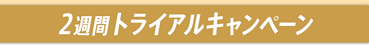 2週間トライアルキャンペーン