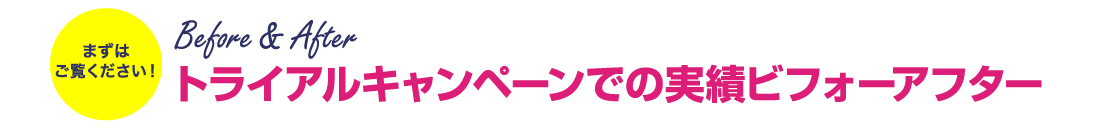トライアルキャンペーンでの実績ビフォーアフター